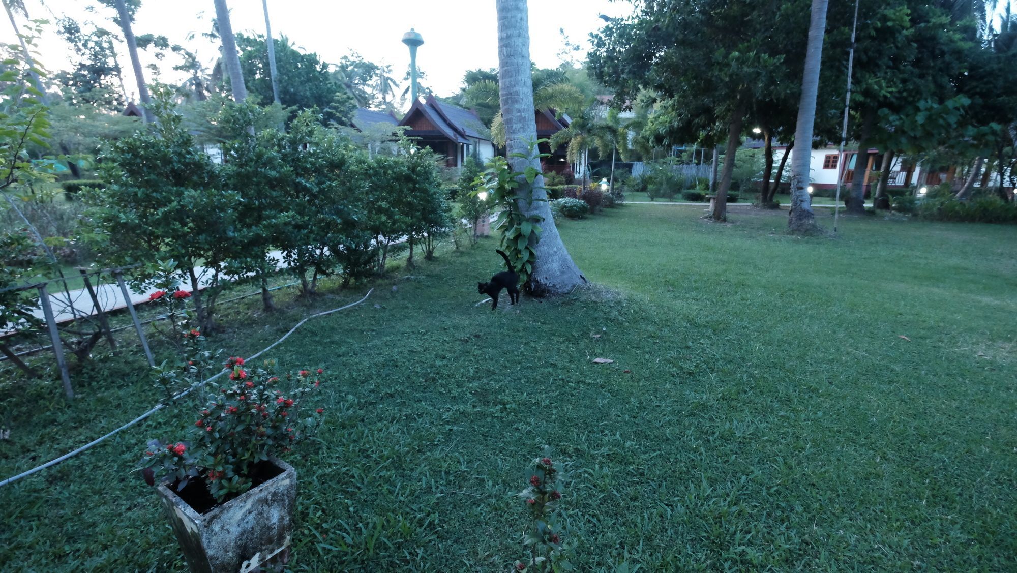 Rasa Sayang Resort - Sha Certificate Ko Lanta Εξωτερικό φωτογραφία